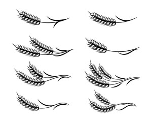 Set of spikelets of wheat, rye, barley, line art. Decor elements, logo, icons, vector