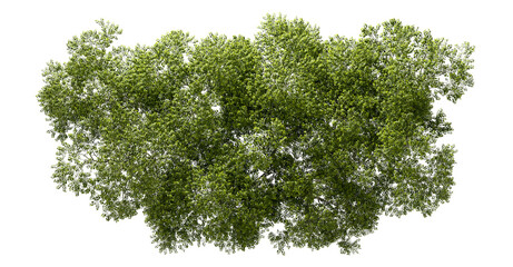 Aerial view greenery forest canopy landscaping on transparent 3d render png - obrazy, fototapety, plakaty