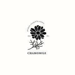 Flat vector chamomile flower drawing