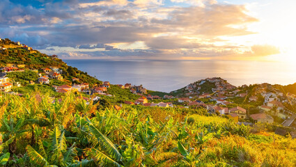 Taditional Madeiran houses in Funchal behind a banana plantation and ocean sunset.