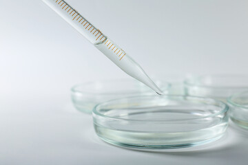 Dripping liquid from pipette into petri dish on light background, closeup