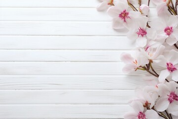 Spring flowers on a white background