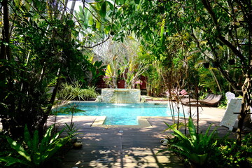 pool in a garden