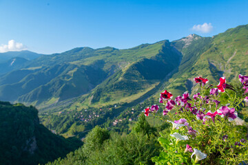 Awe-Inspiring Heights: Green Mountains and a Blue Expanse
