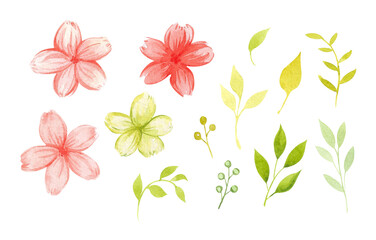 Watercolor set with pink flowers and leaves. Sakura flower, green leaves and berries. A cute collection for the design and decoration of prints, cards, invitations, textiles and stationery.