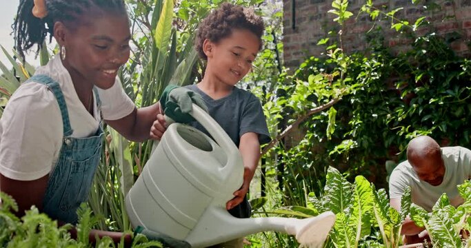 Gardening, growth and water with black family in spring together for leisure, hobby or bonding outdoor. Love, smile or happy with mother, father and children in garden of home for green plants