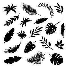 Black tropical leaves isolated on white background. Exotic leaves and branches. Vector elements for design