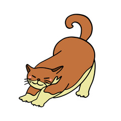 Hand drawn stretching brown cat on a white background