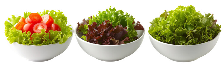 collection of bowl of fresh garden salad, isolated on a transparent background - obrazy, fototapety, plakaty