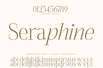Naklejka na ściany i meble alphabet letters sans font. classic typography fonts regular uppercase, lowercase. Vector
