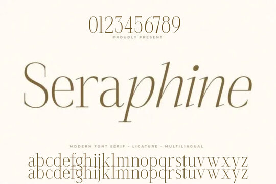 alphabet letters sans font. classic typography fonts regular uppercase, lowercase. Vector