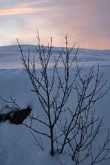 The &THORN;ingvellir area is praised as the national shrine of Iceland due to its great historical and geological significanceIceland&rsquo;s first national park was established there in 1928, and the &THORN;ingvellir 