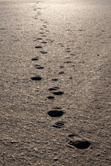 footprints on the beach sand in vertical format