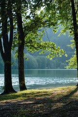 Sunlight filters through the forest canopy to grace a peaceful lakeside, a scene of pure tranquility and untouched natural beauty