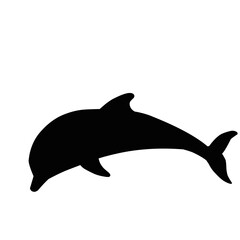 Silhouette Of Dolphin 