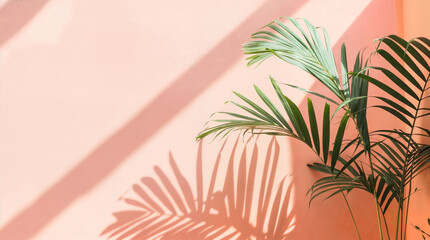 A palm tree on a blush pink wall background with shadow in the sunlight. Retro background with copyspace.