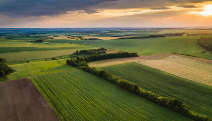 Aerial view of lush green farmland at dusk, evoking tranquility and agricultural abundance