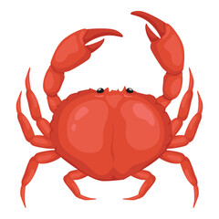 Sea crab, fresh seafood.