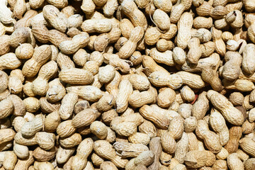 Groundnuts in shells. Peanuts texture. Nuts background. Pile of groundnut. Group of shelled nuts.