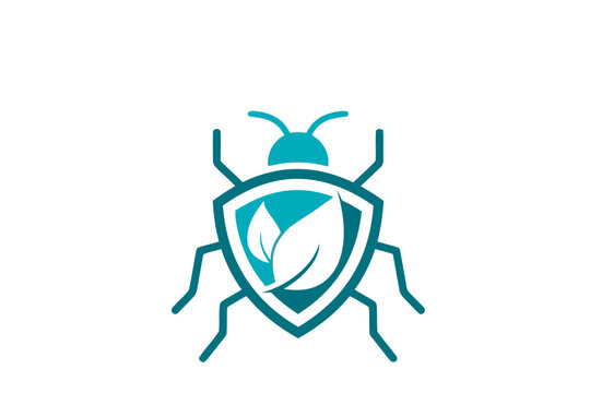 shield bug illustration