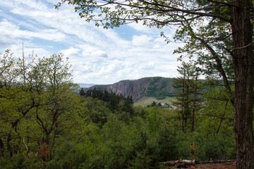Obraz premium Green plants and trees on a hill with Rotenfels in the background on a spring day in the Palatinate Forest of Germany.