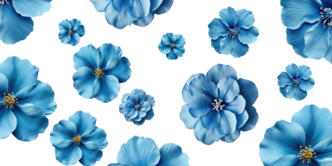 Blue spring flowers flying on a transparent background. Beautiful pastel blue flower arrangement. Summer aesthetic concept.