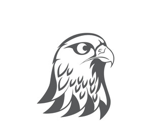 eagle owl cartoon
