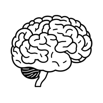 Thinking idea concept brain illustration