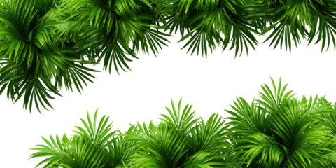 Tropical frame with exotic jungle plants, palm leaves, and space for text, transparent background. PNG, cutout, or clipping path.	
