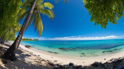 Beach with palm trees, blue water and white sand