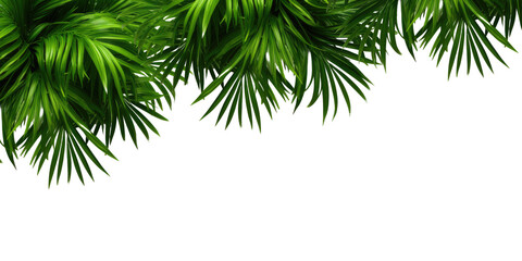 Tropical frame with exotic jungle plants, palm leaves, and space for text, transparent background. PNG, cutout, or clipping path.	
