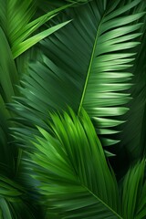 Green palm leaves background