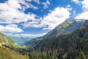 Panoramic landscape of mountains, forest and canyon in  Mount Rainier National Park Washington State, USA.