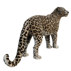 A 3d rendered leopard isolated on a transparent background  
