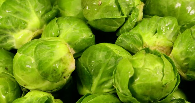 Video of fresh green and wet brussels sprouts in extreme close up. A real winter vegetable.
The bitter substances it contains are also good for digestion.