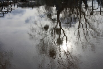 land under water, flood on the weser in rinteln
