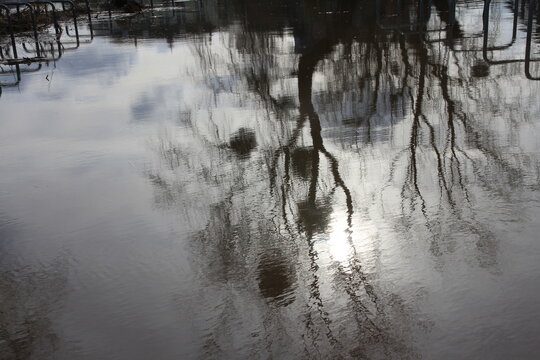 land under water, flood on the weser in rinteln
