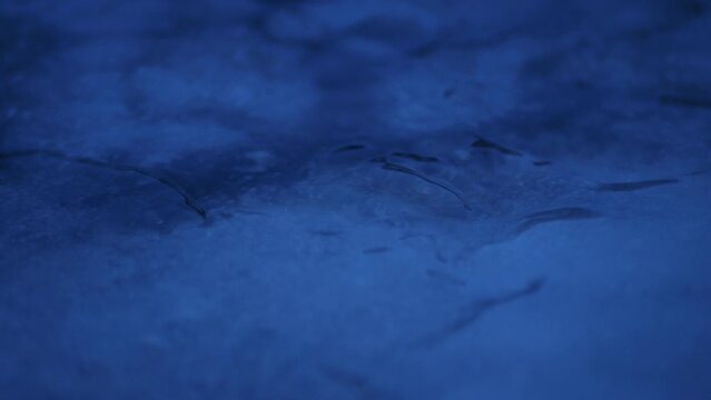 A stream of melted water flows along a frozen river during a thaw. Video in dark colors with a croissant plan.