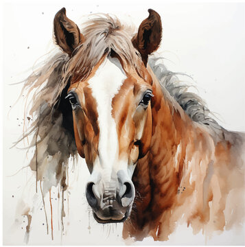 Oil painting of the face of a brown horse on a white background.