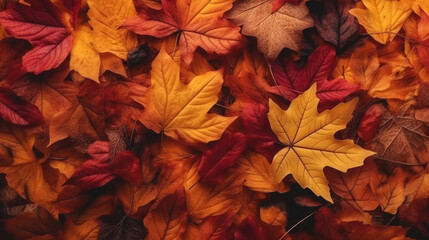 Background of autumn leaves in different colors - Powered by Adobe