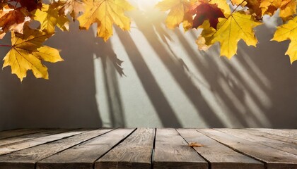 Naklejka na ściany i meble abstract autumn studio background with maple tree leaves and shadows on wall