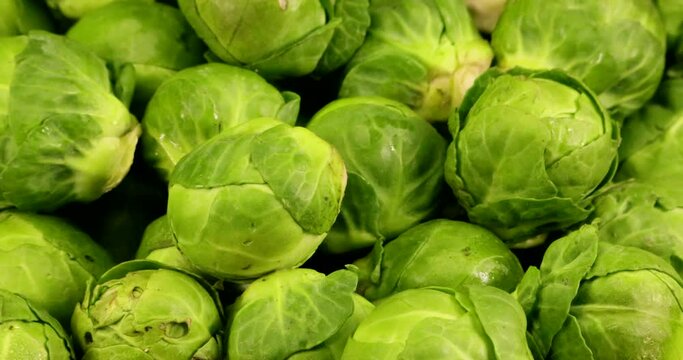 Fresh green Brussels sprouts are a vegetable and variety of vegetable cabbage from the cruciferous plant family