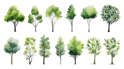 Set of watercolor green tree isolated on white background for landscape and architecture drawing, elements for environment and garden, botanical for section in spring