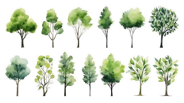 Set of watercolor green tree isolated on white background for landscape and architecture drawing, elements for environment and garden, botanical for section in spring