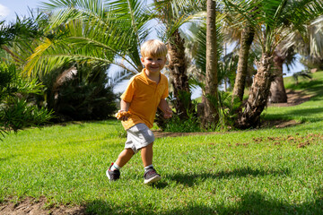 little blond boy on green grass. cheerful kid walking in the park. child running in the park. happy boy