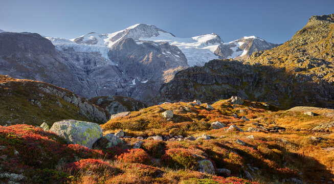 Gw&auml;chtenhorn, Vordertierberg, Steingletscher, Bern, Schweiz