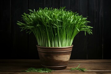 Leafy Potted green chives. Fresh summer food. Generate Ai