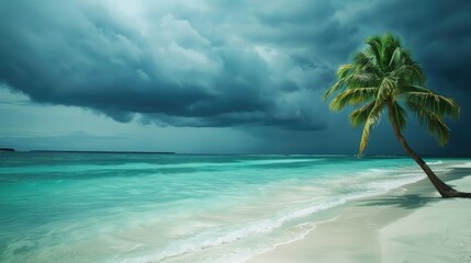 Beautiful beach with palm trees and moody sky Summer vacation travel holiday background concept