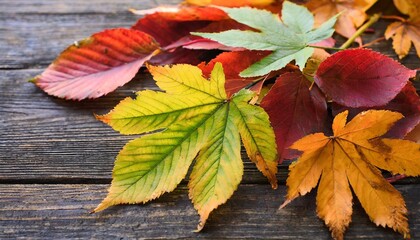 Naklejka na ściany i meble colored autumn leaves