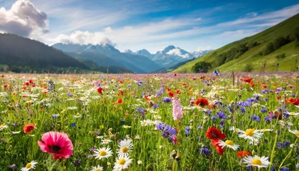 Foto op Canvas field with wild flowers © Sawyer